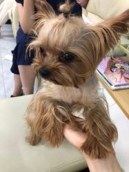 -L Nail轻奢美甲美睫