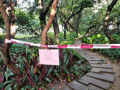 -黄埔荔枝公园