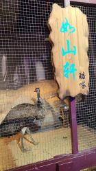 -酷嗒动物文化乐园(cutezoo西溪乐天城店)