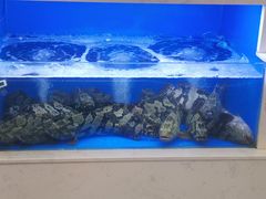 -一品滇香·云南菜(公益西桥店)