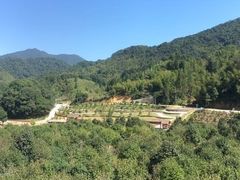 -广州市石门国家森林公园