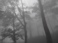 -武当山风景区