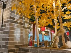 -粥满堂养生餐厅(学苑路店)