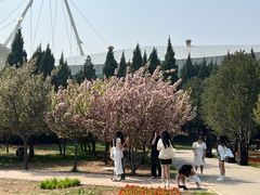 -石家庄市植物园