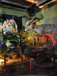 -恐龙探索乐园(磁器口店)