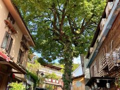 -杭州西湖风景名胜区-满觉陇四眼井