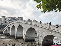 -万绿园