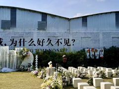 -芭厘农庄老字号·清远鸡