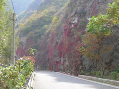 -乌龙峡谷景区