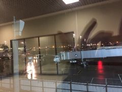 -谢列梅捷沃国际机场