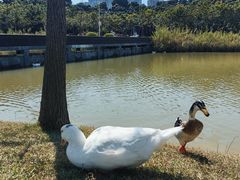-深圳大学(丽湖校区)