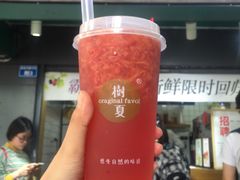 -树夏(建设路店)