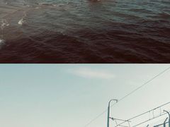 -海堤纪念公园