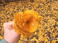 -青岛崂山太清宫
