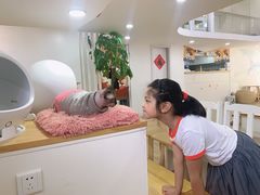 -李小姐の猫咖啡馆(五角场店)