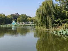 -元大都城垣遗址公园