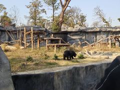 -武汉动物园