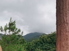 -广州白江湖森林公园