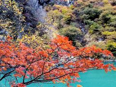 -叠溪松坪沟景区