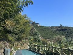 -长沙黑麋峰国家森林公园
