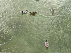 -深圳湾公园(南山区)