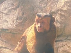 -泉州海丝野生动物世界