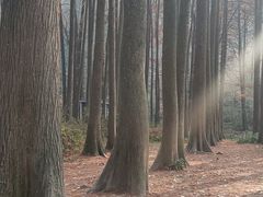 -波尔登森林公园