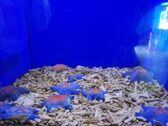 -青岛海底世界-水族馆