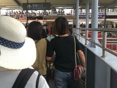 -国际邮轮中心码头(厦鼓码头)