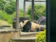 -大连森林动物园