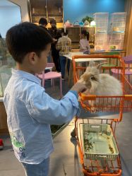 -Moni星球萌宠·小马宝莉·灵蛇·高端高阶全萌宠互动体验俱乐部(红豆国际广场店)