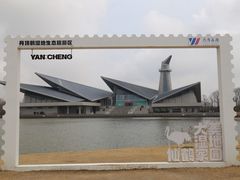 -盐城丹顶鹤湿地生态旅游区