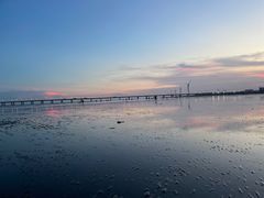 -南汇新城海滩