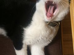 -猫的天空之城概念书店(杭州南宋御街店)