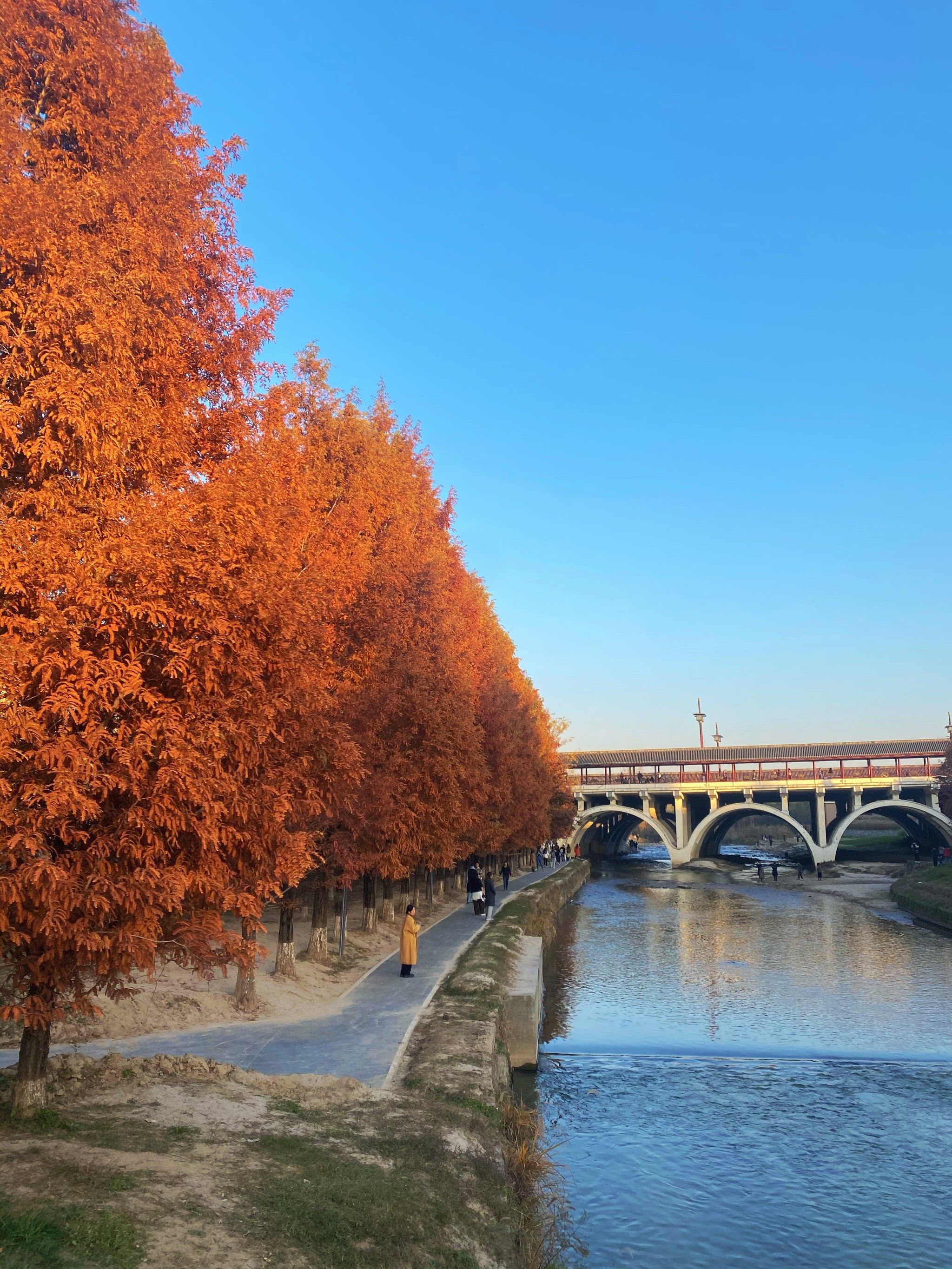 西安游玩-樊川公园