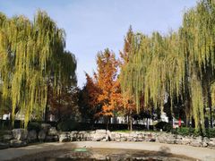 -唐城墙遗址公园