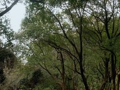 -汤山公园