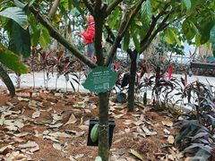 -歌斐颂巧克力小镇