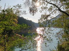 -广州市流溪河国家森林公园