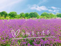 -上海杨姆庄园