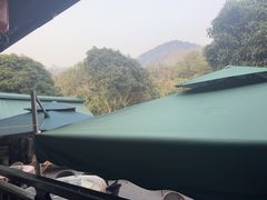 -阿巧茶庄