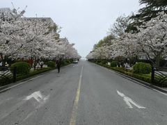 -青岛海滨风景区