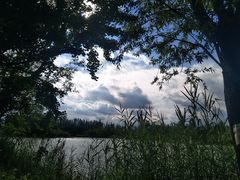 -白鹭湾湿地公园