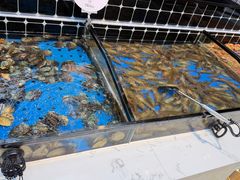 -川骄海鲜自助(河东店)