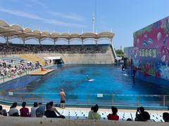 -北戴河圣蓝海洋公园