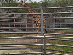 -重庆动物园·东二门售票处