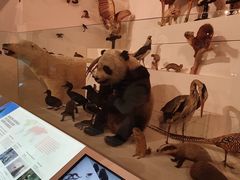 -墨尔本博物馆(Melbourne Museum)