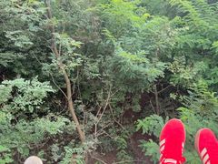 -富斯特索道