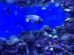 -成都浩海立方海洋公园