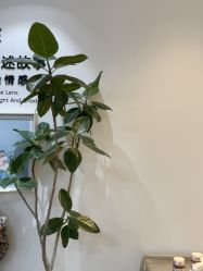 -爱儿美儿童摄影亲子馆(五路居店)